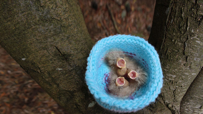 thumb-birdnest-notext How to knit a Bird Nest with Studio Knit - Free Knitting Pattern and Video Tutorial