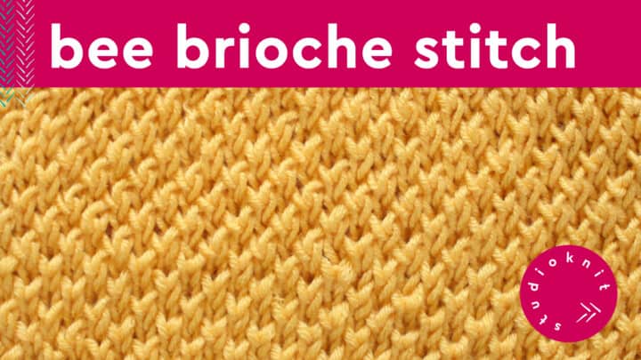 Bee Stitch Knitting Brioche Pattern