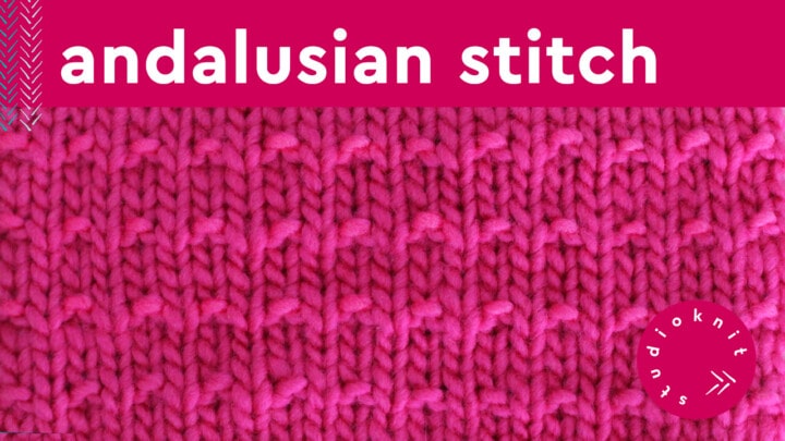 Andalusian Stitch Knitting Pattern for Beginners