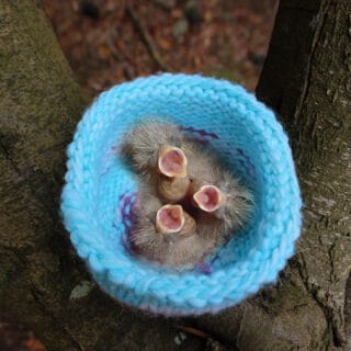 Knitted Bird Nest in blue colored yarn with three baby chicks inside with mouths open to feed.