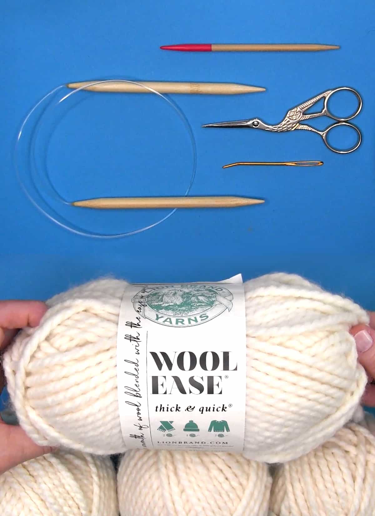 Knitting supplies of circular needle, tapestry needle, scissors, and Lion Brand Wool Ease Thick and Quick yarn.