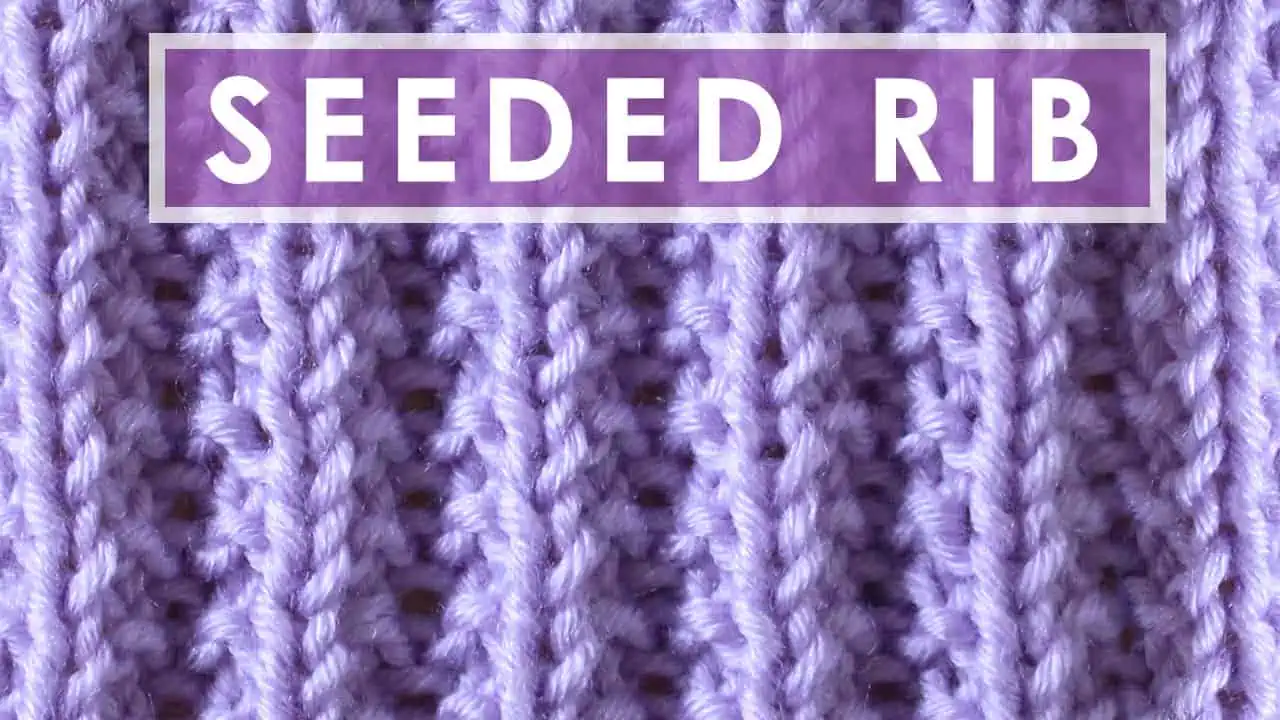 Seeded Rib knitted with purple colored yarn.